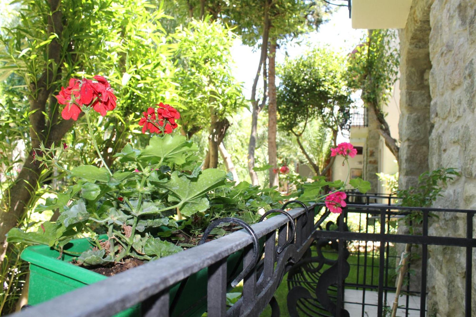 Bella Garden Hotel Bodrum Exterior photo